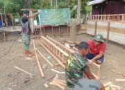 Inovasi Gemilang TMMD Ke-129 Kodim 0102/Pidie: Budidaya Terpadu Kandang Ayam dan Kolam Lele Siap Genjot Ekonomi Warga