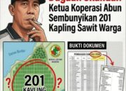 Skandal Kemitraan Sawit Ketapang? 201 Data Kapling Warga Diduga Disembunyikan, Pengurus Koperasi Jadi Sorotan