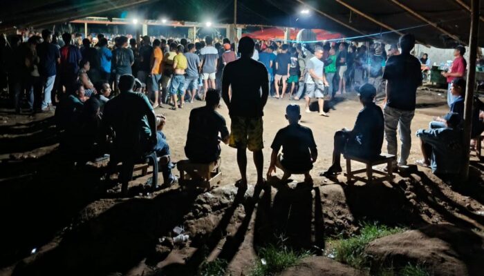 Dugaan Judi Sabung Ayam di Desa Momala, Polres Gorontalo Bergerak ke Lokasi