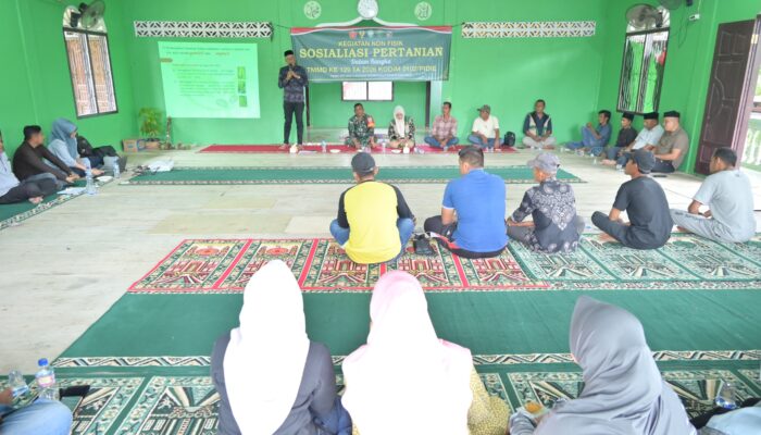 TMMD ke-129 Kodim 0102/Pidie: Bekali Petani Lhok Panah Ilmu Tani Modern Demi Genjot Hasil Pertanian