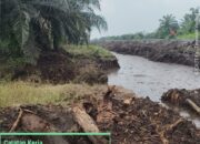 Dugaan Perubahan Aliran Sungai Buluh di Pelalawan, APARI Desak PT SHL Diperiksa Ketat