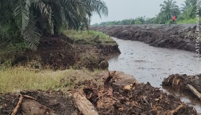 Dugaan Perubahan Aliran Sungai Buluh di Pelalawan, APARI Desak PT SHL Diperiksa Ketat