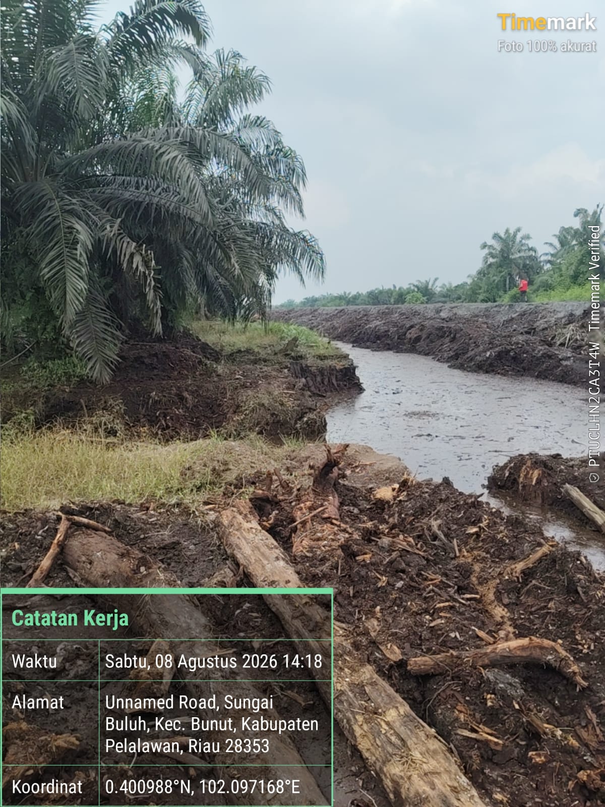 Kondisi aliran Sungai Buluh di Kabupaten Pelalawan yang diduga mengalami perubahan akibat aktivitas perusahaan.