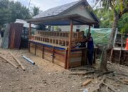 Lima Unit Kandang Ayam Petelur dan Kolam Lele TMMD ke-129 Rampung 100 Persen, Siap Dukung Kemandirian Pangan Warga
