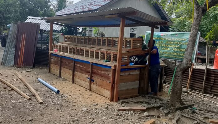 Lima Unit Kandang Ayam Petelur dan Kolam Lele TMMD ke-129 Rampung 100 Persen, Siap Dukung Kemandirian Pangan Warga