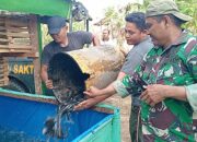 Satgas TMMD ke-129 Tebar Bibit Lele dan Isi Kandang Ayam Petelur di Lima Lokasi RTLH