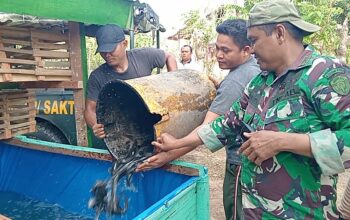Satgas TMMD ke-129 Tebar Bibit Lele dan Isi Kandang Ayam Petelur di Lima Lokasi RTLH