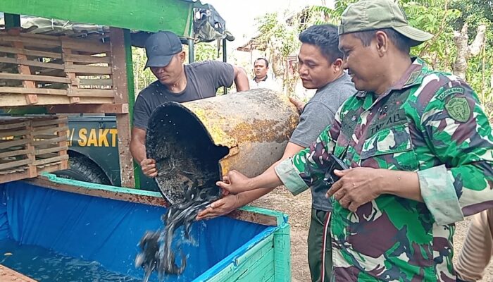 Satgas TMMD ke-129 Tebar Bibit Lele dan Isi Kandang Ayam Petelur di Lima Lokasi RTLH