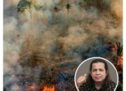 Ancaman Karhutla Mengintai Riau, APARI Desak Penegak Hukum Tindak Tegas Oknum Pembakar Lahan dan Tuntut Eksekusi Putusan PT SSS