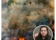 Ancaman Karhutla Mengintai Riau, APARI Desak Penegak Hukum Tindak Tegas Oknum Pembakar Lahan dan Tuntut Eksekusi Putusan PT SSS