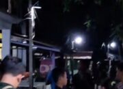 MENCEKAM! Teror Monyet Berukuran Besar di Tembilahan, 10 Warga Jadi Korban dalam Beberapa Hari Terakhir
