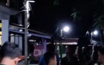 MENCEKAM! Teror Monyet Berukuran Besar di Tembilahan, 10 Warga Jadi Korban dalam Beberapa Hari Terakhir