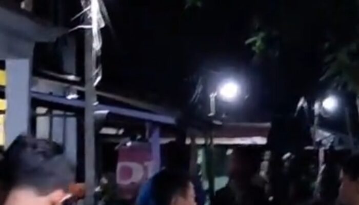 MENCEKAM! Teror Monyet Berukuran Besar di Tembilahan, 10 Warga Jadi Korban dalam Beberapa Hari Terakhir