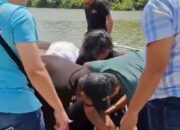 Hendak Kabur ke Luar Daerah, Pelaku Dugaan Kekerasan Seksual Anak Diamankan Polres Belitung