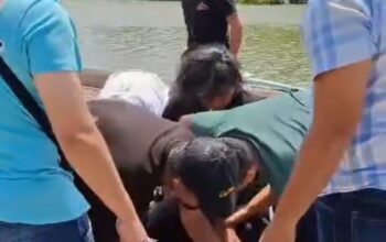 Hendak Kabur ke Luar Daerah, Pelaku Dugaan Kekerasan Seksual Anak Diamankan Polres Belitung