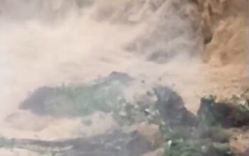 Longsor Tambang Emas Tanpa Izin di Pohuwato, 5 Penambang Meninggal Dunia