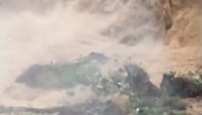 Longsor Tambang Emas Tanpa Izin di Pohuwato, 5 Penambang Meninggal Dunia