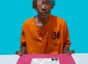 Di Tengah Penanganan Karhutla, Polisi Ungkap Dugaan Peredaran Sabu di Perkebunan Terbangiang – Pelalawan
