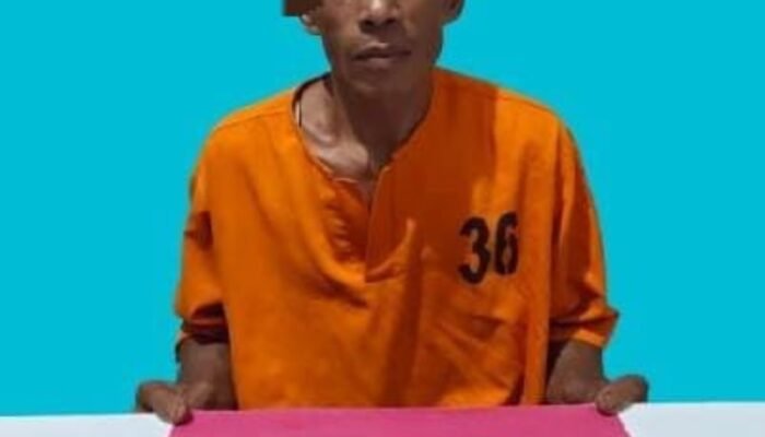 Di Tengah Penanganan Karhutla, Polisi Ungkap Dugaan Peredaran Sabu di Perkebunan Terbangiang – Pelalawan