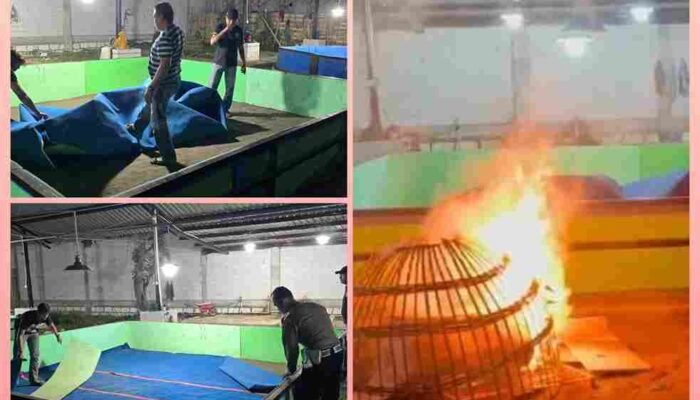 Laporan Warga Masuk via 110, Polisi Bongkar Sarana Aduan Ayam di Klurak Sidoarjo