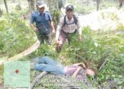 Pemanen PT Serikat Putra Diduga Meninggal Saat Panen Sawit di Pelalawan, Ini Informasi Awalnya
