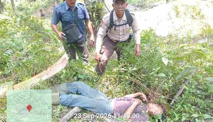 Pemanen PT Serikat Putra Diduga Meninggal Saat Panen Sawit di Pelalawan, Ini Informasi Awalnya