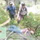Pemanen PT Serikat Putra Diduga Meninggal Saat Panen Sawit di Pelalawan, Ini Informasi Awalnya