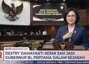 DPR Setujui Destry Damayanti Pimpin BI, Apa Dampaknya bagi Rupiah, Harga Barang dan Kredit Masyarakat?