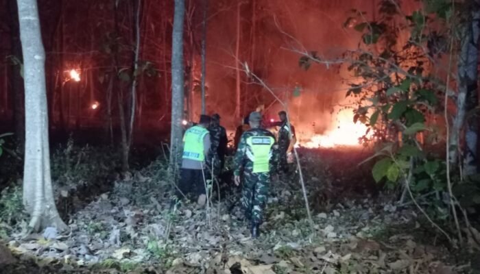 Gerak Sigap Babinsa Kodim Ponorogo Padamkan Kebakaran Pekarangan Warga, Api Berhasil Dikendalikan