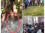 Makam Leluhur di Tengah Kebun Sawit Jadi Sorotan, Warga Siak Minta Penyelesaian Tuntas