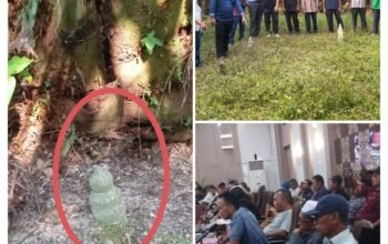 Bentangan kebun kelapa sawit di wilayah Kabupaten Siak, Riau.
