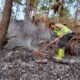 Berkat kesigapan petugas gabungan dan warga, api dari sisa tebangan yang merembet ke kawasan hutan Cimanggu, Cilacap, berhasil dipadamkan setelah dua jam berjibaku.