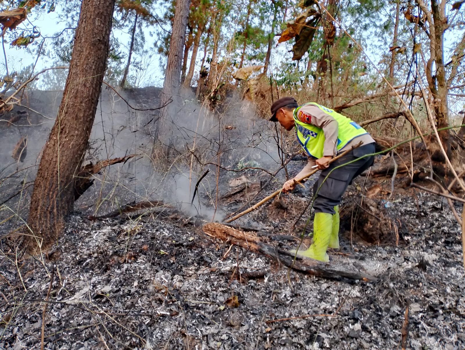 Berkat kesigapan petugas gabungan dan warga, api dari sisa tebangan yang merembet ke kawasan hutan Cimanggu, Cilacap, berhasil dipadamkan setelah dua jam berjibaku.