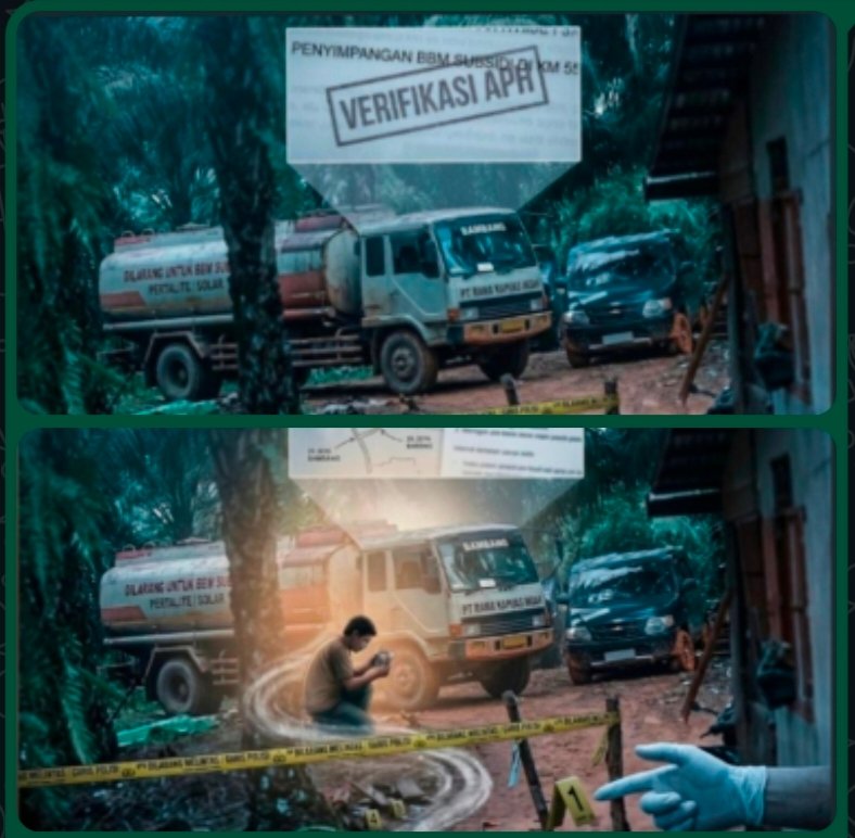 Ilustrasi kawasan Kayu Lapis KM 55, Desa Bernayau, Kecamatan Sepauk, Kabupaten Sintang.