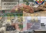 Skandal Proyek TK Istiqomah: APBN Ratusan Juta Diduga Membiayai Perusakan Mangrove dan Pembelian Lahan Ilegal