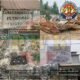 Skandal Proyek TK Istiqomah: APBN Ratusan Juta Diduga Membiayai Perusakan Mangrove dan Pembelian Lahan Ilegal
