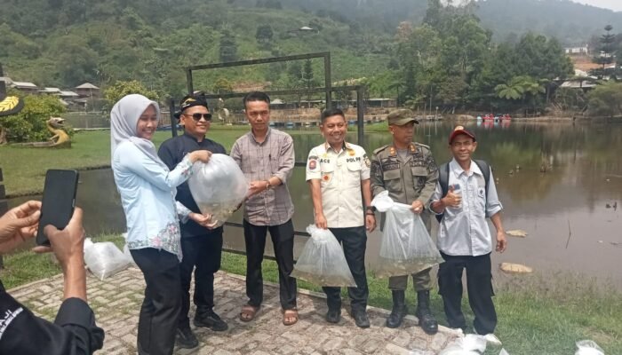 Dinas Perikanan Bogor Tebar Ikan Nila di Rawa Gede, Jaga Ekosistem dan Stok Ikan untuk Warga