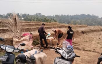 Warga Kampung Rawey, Desa Sukasirna, Jonggol, membangun saluran pipa air swadaya.
