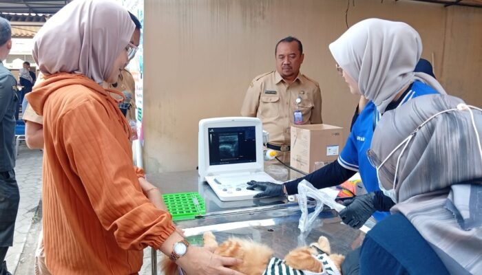 Cegah Rabies Masuk Cilacap, 800 Dosis Vaksin Gratis Disiapkan untuk Hewan Peliharaan