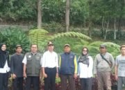Hama Ganggu Tanaman Cengkeh Petani Bogor, Dinas Perkebunan Jabar Turun Tangan: Apa solusinya?