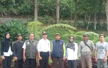 Petugas Dinas Perkebunan Jabar saat memberikan penyuluhan kepada petani cengkeh di Sukamakmur, Bogor.