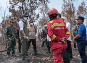 Asap Karhutla Indonesia Menyebar ke 4 Negara, BRIN Ungkap Penyebabnya: Harapan Asap Segera Berlalu