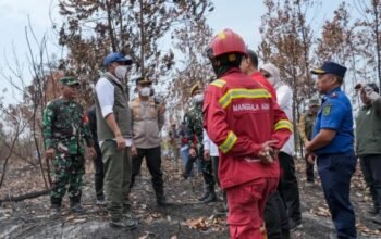 Asap Karhutla Indonesia Menyebar ke 4 Negara, BRIN Ungkap Penyebabnya: Harapan Asap Segera Berlalu Ilustrasi satelit pemantauan sebaran titik panas dan kabut asap di wilayah hutan Indonesia.