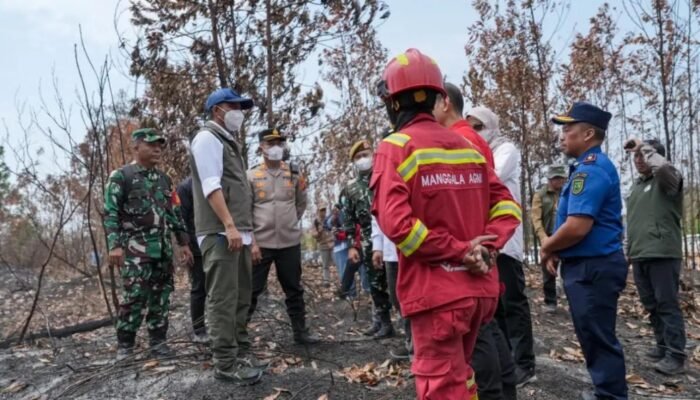 Asap Karhutla Indonesia Menyebar ke 4 Negara, BRIN Ungkap Penyebabnya: Harapan Asap Segera Berlalu