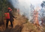 Kebakaran Semeru Makin Meluas, 3.072 Hektare TNBTS Terdampak, Warga Diminta Waspada