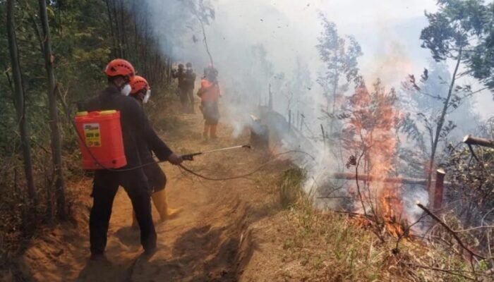 Kebakaran Semeru Makin Meluas, 3.072 Hektare TNBTS Terdampak, Warga Diminta Waspada