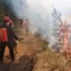 Kepulan asap pekat dari kebakaran hutan dan lahan di kawasan Gunung Semeru.