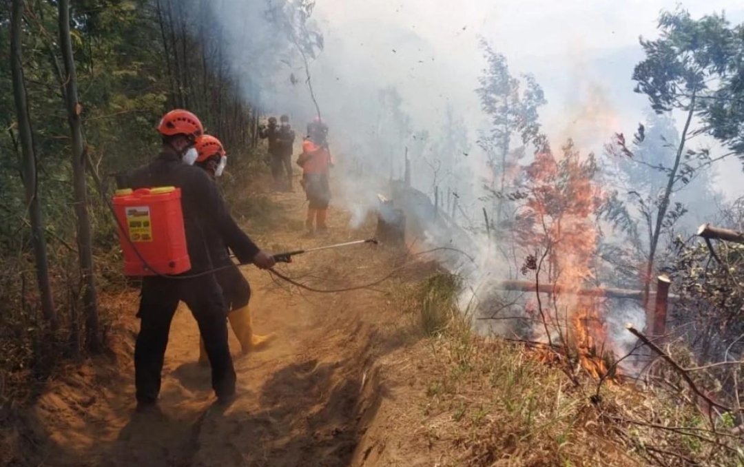 Kepulan asap pekat dari kebakaran hutan dan lahan di kawasan Gunung Semeru.