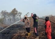 Karhutla Makin Ganas! 112 Orang Jadi Tersangka, Riau Tertinggi—4.738 Hektare Lahan Terbakar