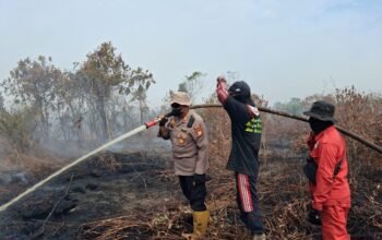 Karhutla Makin Ganas! 112 Orang Jadi Tersangka, Riau Tertinggi—4.738 Hektare Lahan Terbakar